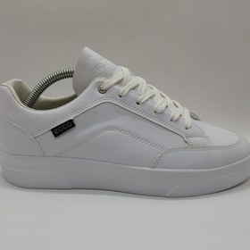 تصویر کفش مدل اکو 