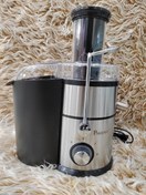 تصویر آبمیوه گیری چهار کاره پارادایس مدل P-210 Juicer and blender PARADAIS P-210