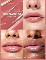 تصویر لیپ پلامپر– Pout-Perfect Shine Lip Plumper - pink flamingo Pout-Perfect Shine Lip Plumper