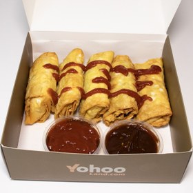 تصویر اسپرینگ رول FF_SR01