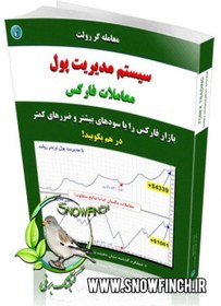 تصویر کتاب pdf تریدر رولت مدیریت سرمایه (سیستم مدیریت پول معاملات فارکس) ترجمه فارسی 