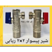 تصویر شیر پیسوار 2 در 2 ریابی salam