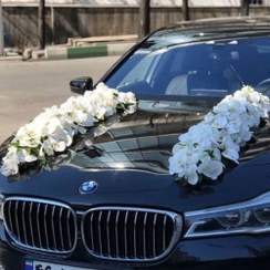 تصویر ماشین عروس با گل ارکیده 4076 