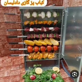 تصویر کباب پز دادلیسان ۱۴ سیخ Kabab paz