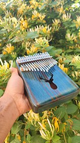 تصویر کالیمبا کالی‌مون حفره گوزنی رنگ آبی 