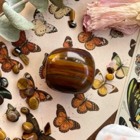 تصویر چشم ببر 08 