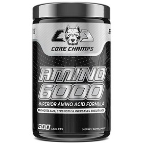 تصویر آمینو 6000 کور چمپس CORE CHAMPS AMINO 6000