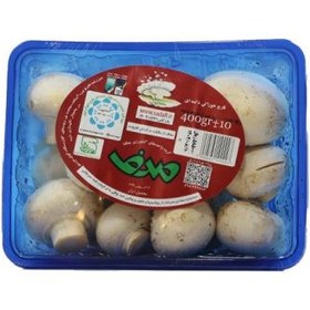 تصویر قارچ بسته بندی صدف 400 گرم 