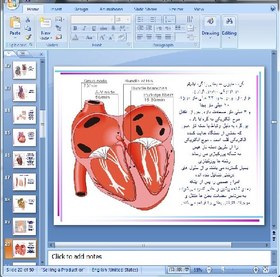 تصویر دانلود پاورپوینت فیزیولوژی قلب و دستگاه گردش خون- 50 اسلاید 