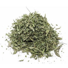 تصویر پونه خشک Dry mint