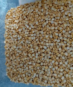 تصویر لپه ریز Split Chickpeas