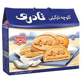 تصویر کلوچه کلاسیک نارگیل نادری بسته ۲۰ عددی 