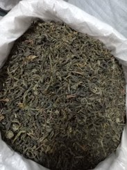 تصویر چای قلم سبز باغات شرق گیلان با کیفیت ممتاز 