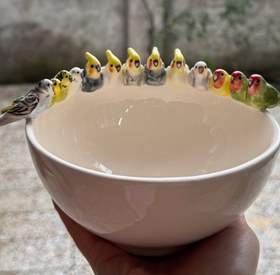 تصویر کاسه گروه طوطی ها 