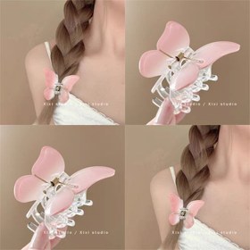 تصویر کلیپس پروانه 