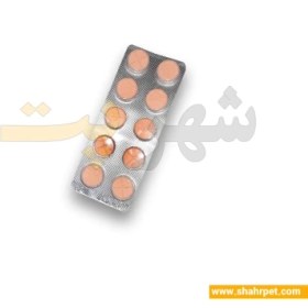 تصویر قرص ضد انگل سگ و گربه آلفاسان Alfasan Praziquantel For Pet