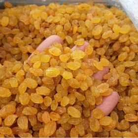 تصویر کشمش پلویی طلایی (کارتن10کیلویی) 