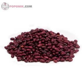 تصویر لوبیا قرمز جیگری 