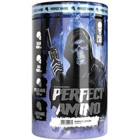 تصویر آمینو 450 گرم اسکول لبز FA SKULL LABS AMINO 450G