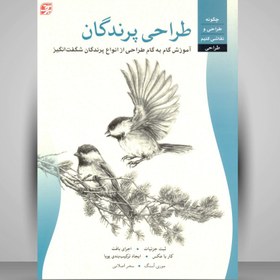 تصویر طراحی پرندگان: آموزش گام به گام طراحی از انواع پرندگان شگفت انگیز 