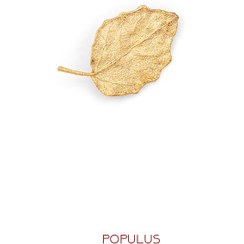 تصویر گل سینه برگ صنوبر کد JL.JBG.03225 