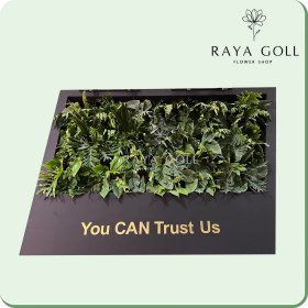 تصویر گرین وال هاوایی 