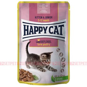 تصویر پوچ بچه گربه ویسکاس طعم مرغ 85 گرم Whiskas Junior Kitten Chicken 100g