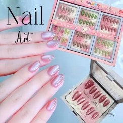 تصویر ناخن مصنوعی آیس شیک 