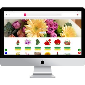 تصویر طراحی سایت تخصصی فروشگاه اینترنتی + یک سال پشتیبانی رایگان (پلن پایه) 