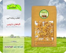 تصویر ثعلب پنجه ایی 