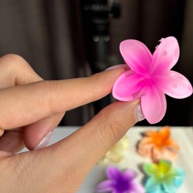 تصویر گلسر پلومریا سایز کوچک 