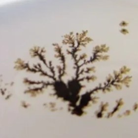 تصویر سنگ شجر کد 2315 