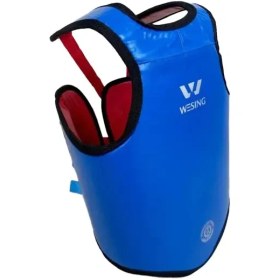 تصویر هوگو ووشو دو رو ویسینگ 