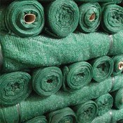 تصویر توری راشل گلخانه‌ای 