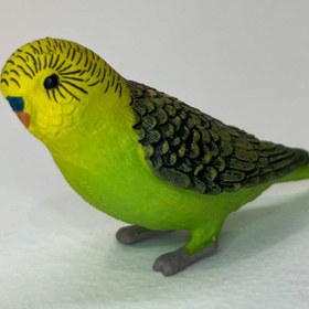 تصویر مرغ عشق سبز mojo کد ۳۸۷۲۶۲ Mojo Budgerigar green