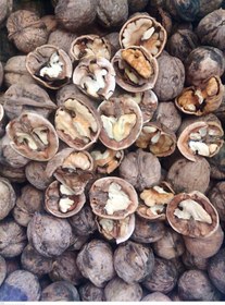 تصویر گردو تویسرکان - یک کیلوگرم 