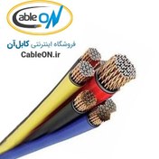 تصویر کابل برق مفتولی (نصب ثابت، خشک، زمینی) 2 در 10 (10×2) خراسان افشارنژاد Ground Cable (Dry) 2*10 Khorasan Afsharnejad