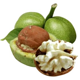 تصویر نهال گردو تویسرکان 