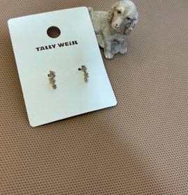 تصویر گوشواره اروپایی - 2 