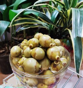 تصویر ترشی سپستان 