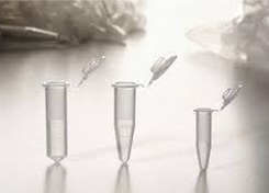 تصویر میکروتیوپ 1.5 عددی 