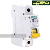 تصویر فیوز مینیاتوری دنا الکتریک مدل C25 ظرفیت ۲۵ آمپر 