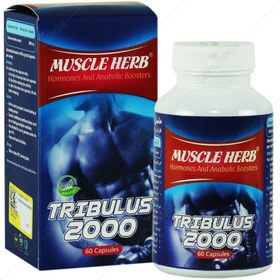 تصویر ماسل هرب 