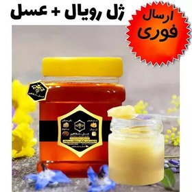 تصویر ژل رویال و عسل شفاهیر(مخلوط10گرم ژل رویال با 250 گرم عسل طبیعی جنگلی)(ارسال فوری)(مستقیم از زنبوردار) 