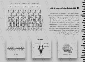 تصویر حفاظ شاخ گوزنی تراکم 50 ردیف 