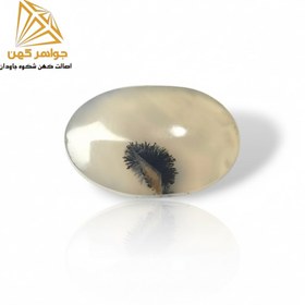 تصویر ,نگین شجر تک درخت (کد ۶۲) 