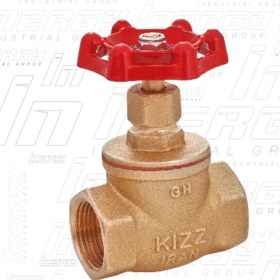 تصویر شیر سوزنی کیز 