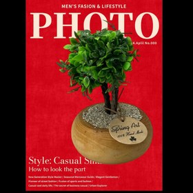 تصویر بن سای ژاپنی 33157 