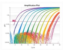 تصویر دوره Real-time PCR 