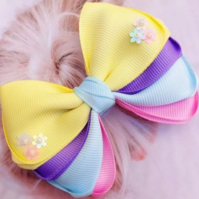 تصویر گلس پاپیون رنگین کمانی 